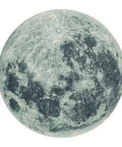 Moon Gray 5 ft. Round Area Rug by Mohawk Home